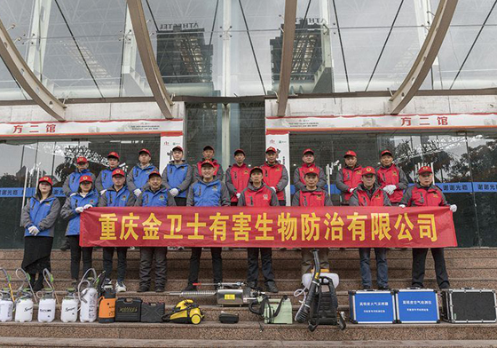 散白蟻侵害現(xiàn)代建筑，如何有效進(jìn)行白蟻防治處理