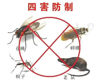 床墊易滋生吸血臭蟲，怎樣預防呢？